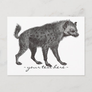 Spotted Hyena Post Card