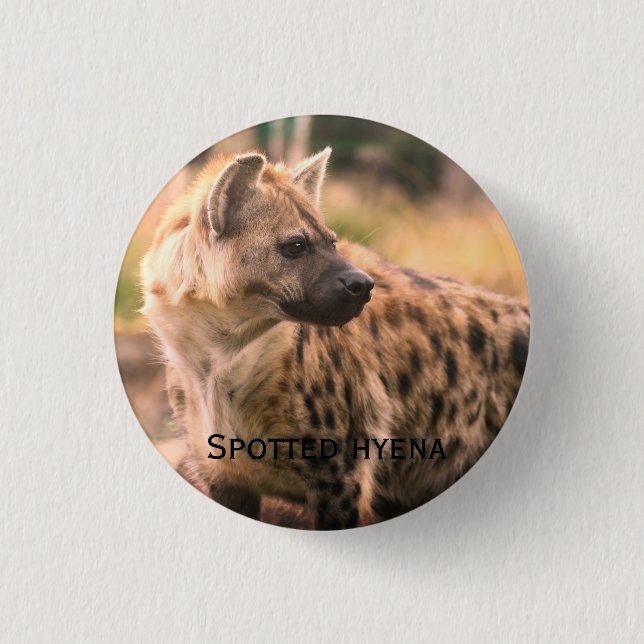 Spotted hyena:Savannah sunset Button (Front)