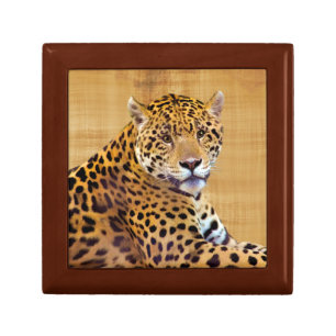 Spotted Jaguar Big Cat-lover #Gift Jewelry Box