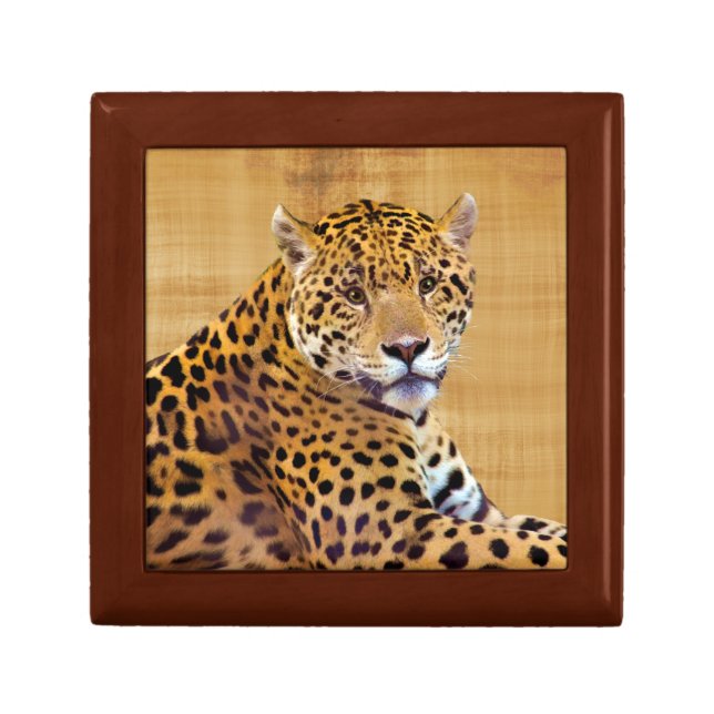 Spotted Jaguar Big Cat-lover #Gift Jewelry Box (Front)