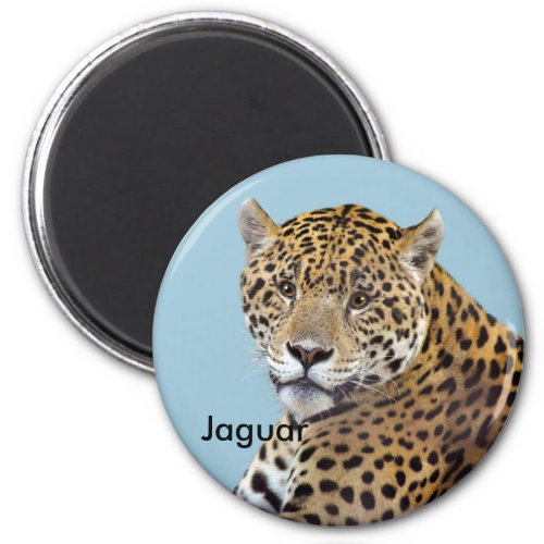 Spotted Jaguar Big Cat_lover Gift Magnet