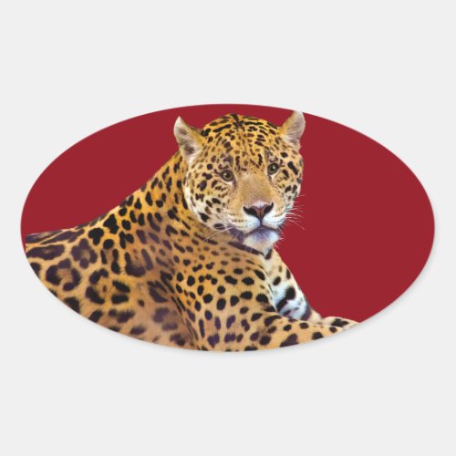 Spotted Jaguar Big Cat_lover Gift Oval Sticker