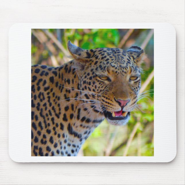 Spotted Leopard Mouse Pad (Front)