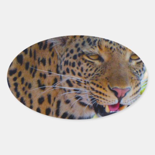 Spotted Leopard Oval Sticker