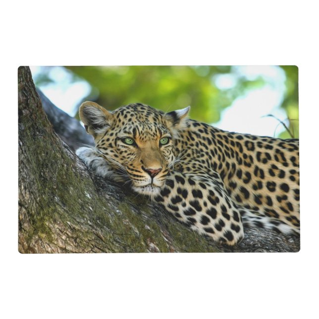 Spotted Leopard Placemat (Front)
