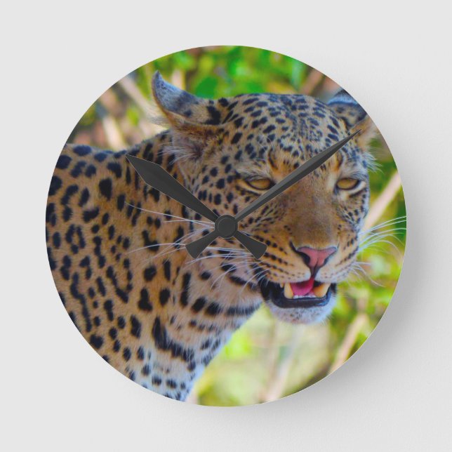 Spotted Leopard Round Clock (Front)