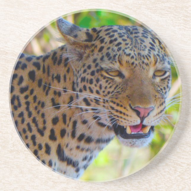 Spotted Leopard Sandstone Coaster (Front)