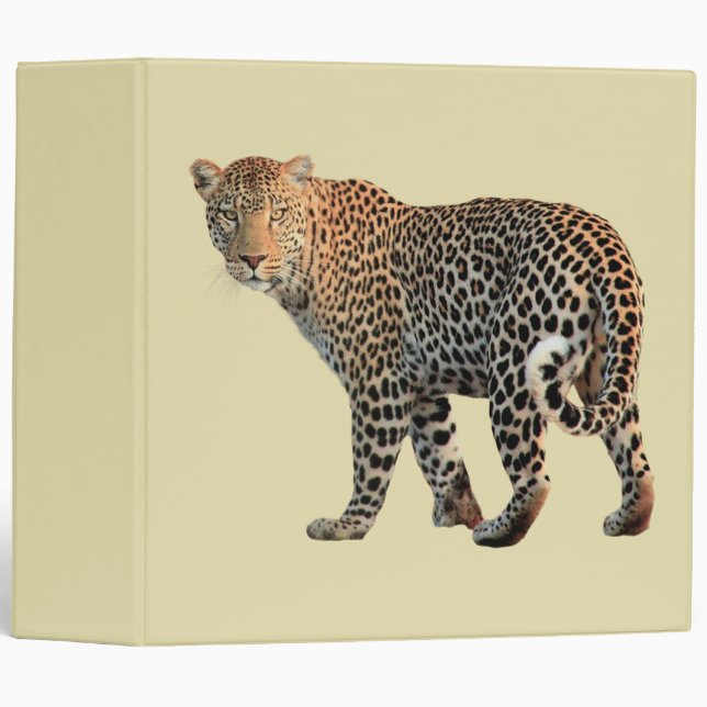 Spotted Leopard Wild Cat Photograph 3 Ring Binder (Front/Spine)