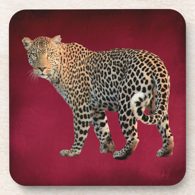 Spotted Leopard Wild Cat Photograph Beverage Coaster (Front)