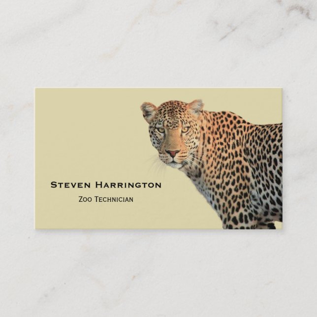 Spotted Leopard Wild Cat Photograph Business Card (Front)