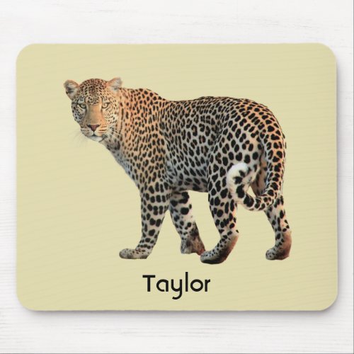 Spotted Leopard Wild Cat Photograph Mouse Pad