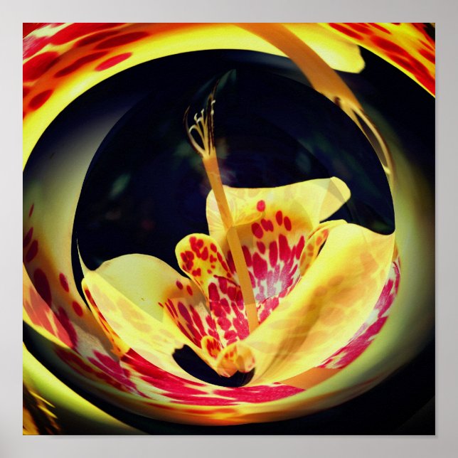 Spotted Lily Floral Abstract Art Poster (Front)