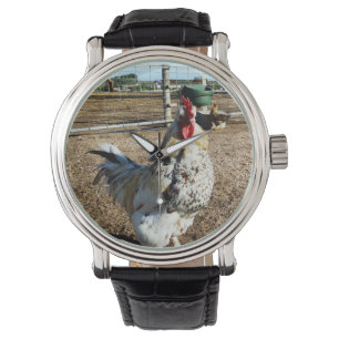 **"Spotted Majesty: The Speckled Farm Rooster"** Watch