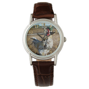 **"Spotted Majesty: The Speckled Farm Rooster"** Watch