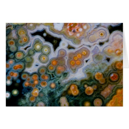 Spotted Ocean Jasper Cards (Front Horizontal)