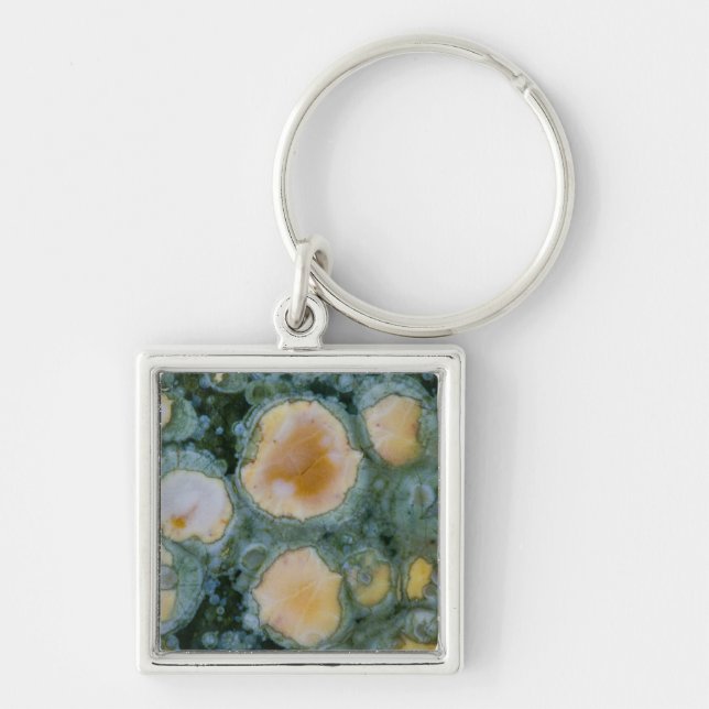 Spotted Ocean Jasper Keychain (Front)