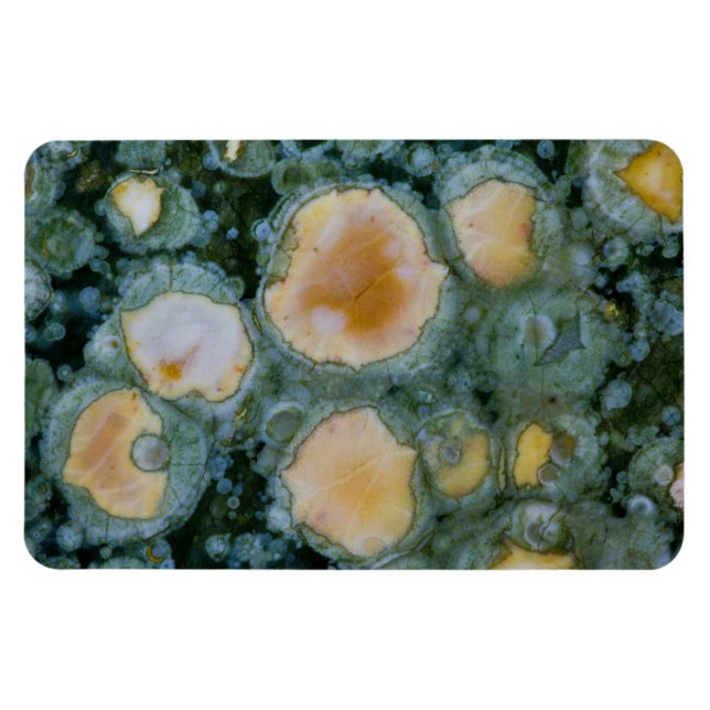 Spotted Ocean Jasper Magnet (Horizontal)