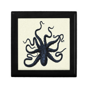 Spotted Octopus Jewelry Box