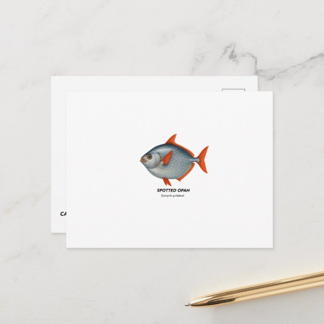 Spotted Opah – Marine Animals of California Postcard (Front/Back In Situ)
