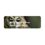Spotted Owl Mailing Label