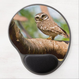 Spotted owl on morning flight. gel mouse pad