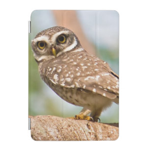 Spotted owl on morning flight. iPad mini cover