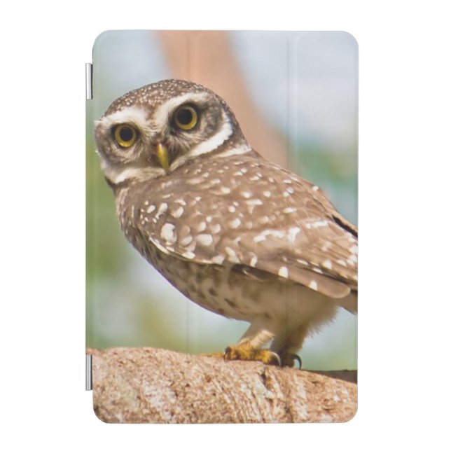 Spotted owl on morning flight. iPad mini cover (Front)