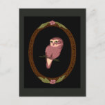 Spotted Owl Postcard at Zazzle