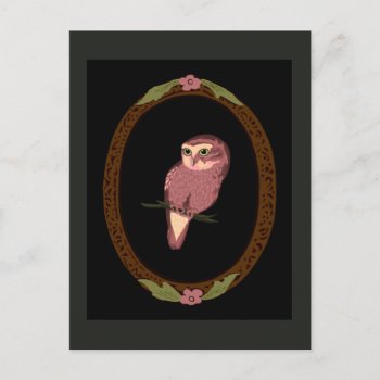 Spotted Owl Postcard by LeFlange at Zazzle