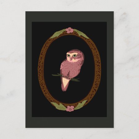 Spotted Owl Postcard