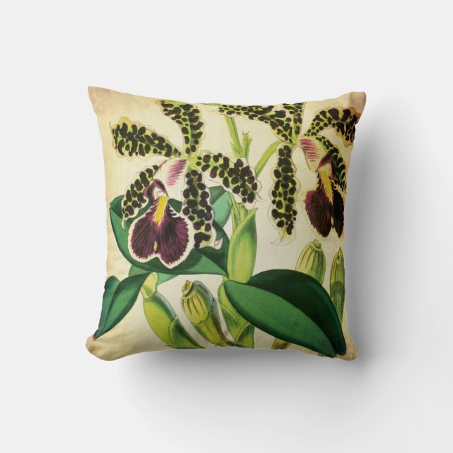 Spotted Phalaenopsis Orchid Vintage Botanical Throw Pillow (Front)