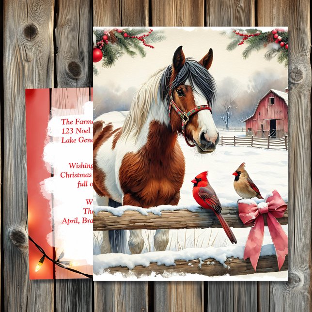 Spotted Pinto Horse and Cardinals Personalized Postcard (Creator Uploaded)