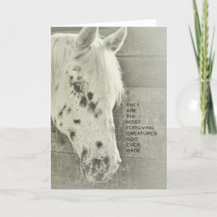 SPOTTED PONY Greeting Card