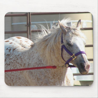 Spotted Pony Mouse Pad