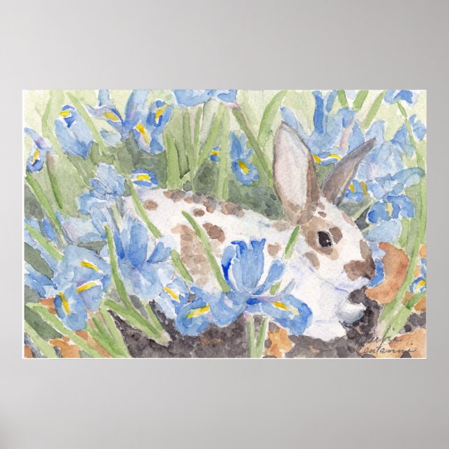 Spotted Rabbit in Springtime Dutch Irises Poster (Front)