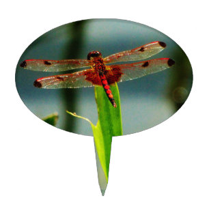 Spotted Red and Black Dragonfly Cake Topper