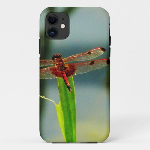 Spotted  Red and Black Dragonfly iPhone 11 Case