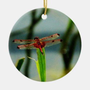 Spotted Red and Black Dragonfly Ceramic Ornament