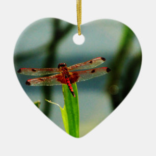 Spotted Red and Black Dragonfly Ceramic Ornament
