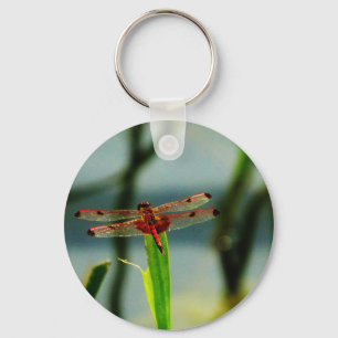 Spotted Red and Black Dragonfly Keychain