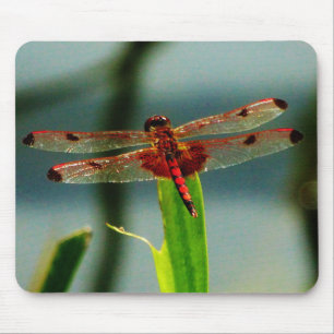 Spotted Red and Black Dragonfly Mouse Pad
