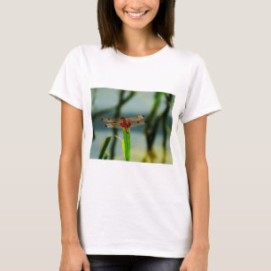 Spotted Red and Black Dragonfly T-Shirt