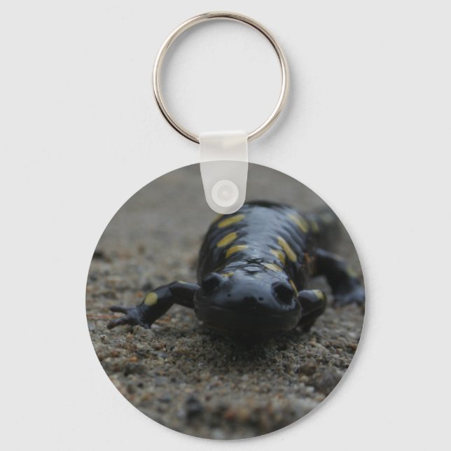 Spotted Salamander Keychain (Front)