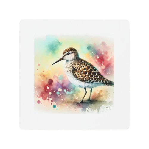 Spotted Sandpiper 040724AREF115 _ Watercolor Metal Print