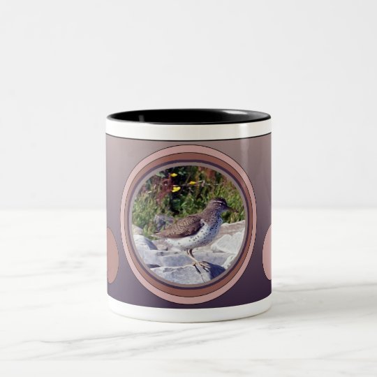 Spotted Sandpiper 1 Mug
