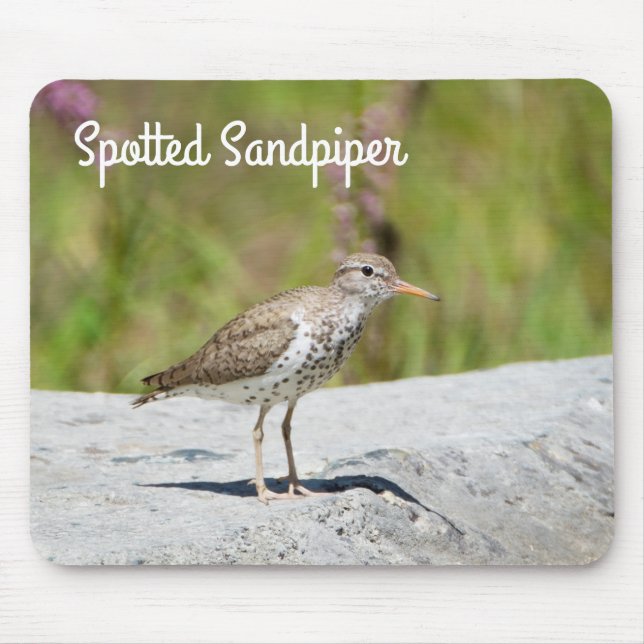 Spotted Sandpiper Mouse Pad (Front)