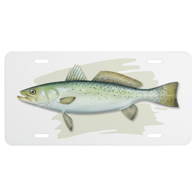 Spotted Sea Trout License Plate (Front)