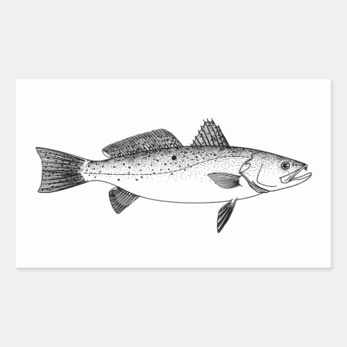 Spotted Seatrout _ Speckled Trout Vintage Line Art Rectangular Sticker