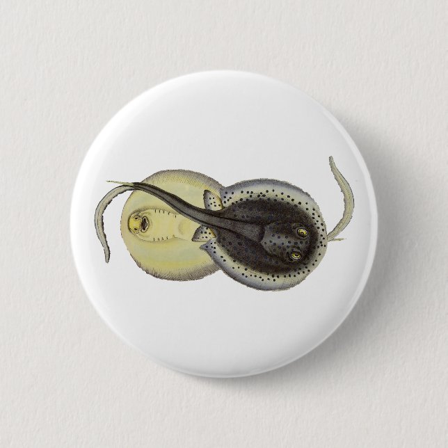 Spotted Stingrays, Vintage Marine Ocean Animals Button (Front)