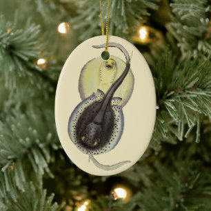 Spotted Stingrays, Vintage Marine Ocean Animals Ceramic Ornament